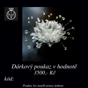 Dárkový poukaz v hodnotě 3500,- Kč