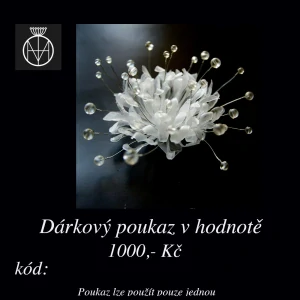 Dárkový poukaz v hodnotě 1000,- Kč