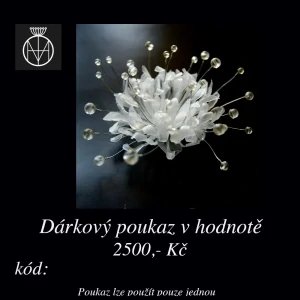 Dárkový poukaz v hodnotě 2500,- Kč