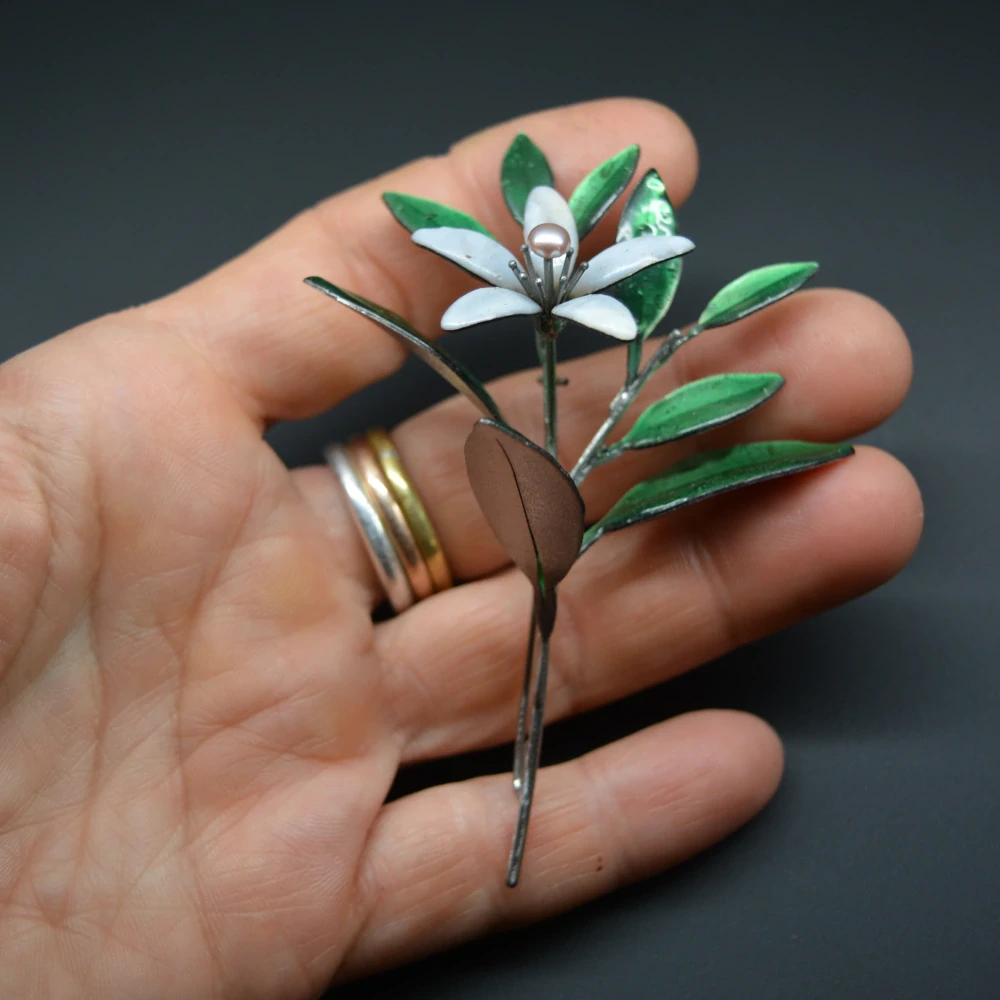 Brož květ pomerančovníku