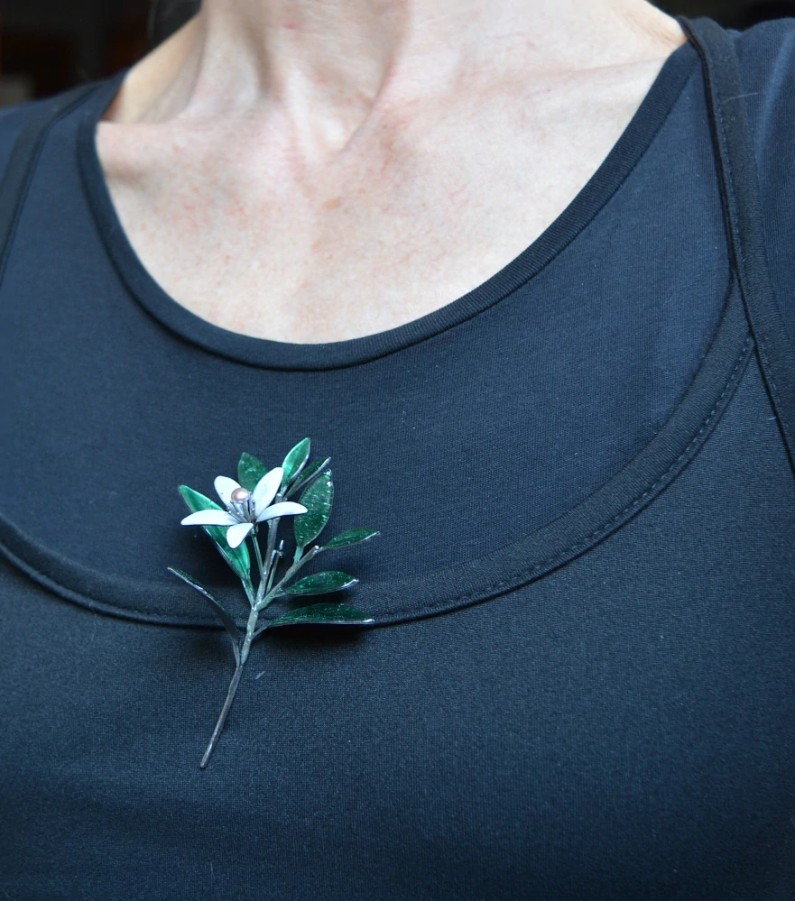 Brož květ pomerančovníku